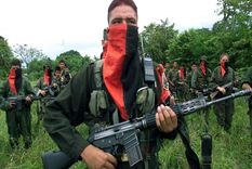 investigan a compania italo-argentina por financiar a eln y farc