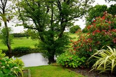Jardín Toma nota de los cuidados fundamentales para tu jardín Foto: Pexels