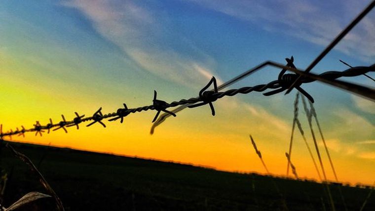 Foto: Istock