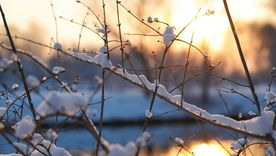 El invierno llega este viernes a la noche con el día más corto del año en Argentina. Foto: Shutterstock El invierno llega este viernes a la noche con el día más corto del año en Argentina. Foto: Shutterstock