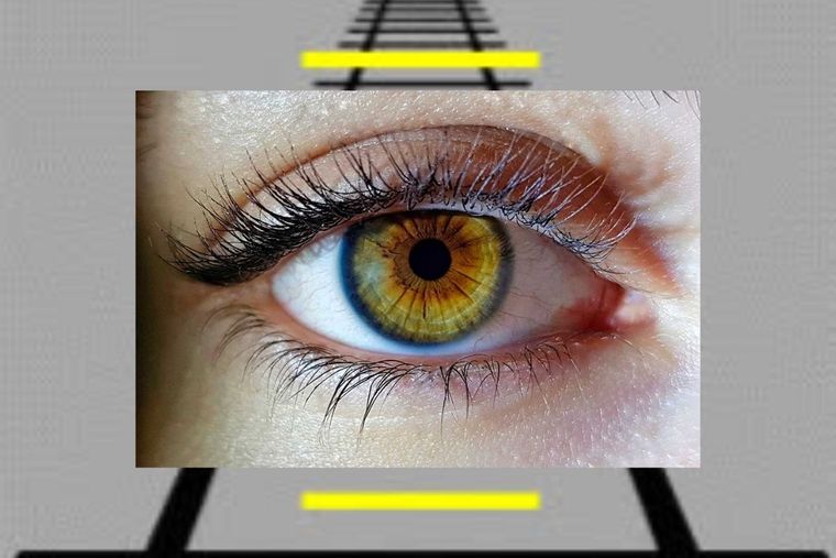 Test Visual - Ilusión Óptica Test Visual - Ilusión Óptica Foto: Biotech Magazine & News