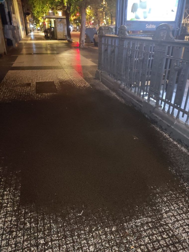 Los insectos muertos junto a la estación a la primera hora del viernes Foto: X: @AlertasTransito