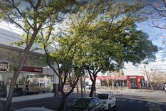 Aplicarán cortes en la San Martín Sur. Foto: Captura