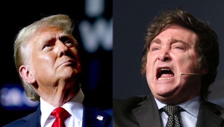 Donald Trump y Javier Milei. Foto: NA