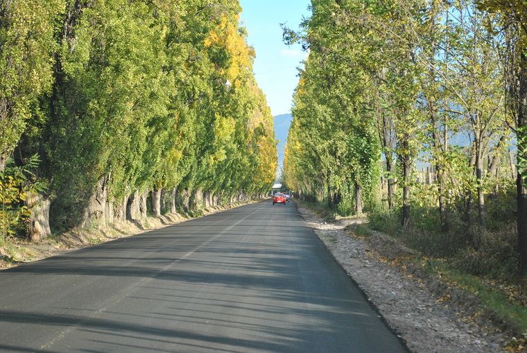 Foto: Gobierno de Mendoza