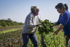 maria robotti: el delantal para cocinar y luchar?