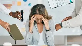 La mala relación con el jefe genera un mal clima de trabajo La mala relación con el jefe genera un mal clima de trabajo