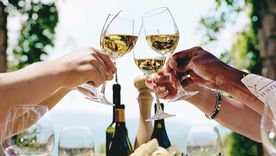 ¡A brindar con Torrontés! Foto: Gentileza