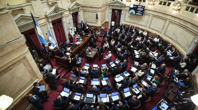 El Senado, una vez mas, como vidriera del no va mas de la política Foto: Prensa Senado Nacional