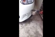 ningun chapista quiere que veas este video