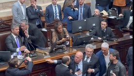 Fuerte cruce entre Menem y Leiva