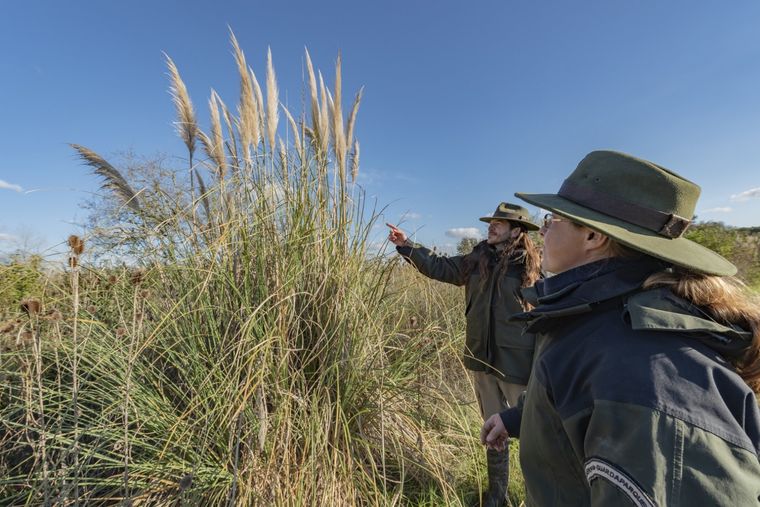 Se incorporarán más de cien guardaparques en todo el país Foto: Ministerio de Ambiente y Desarrollo Sostenible