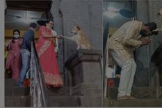 el perrito que se hizo viral por dar la bendicion fuera de la iglesia