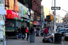 terror en el bronx: agujero repleto de ratas en la vereda se lo traga