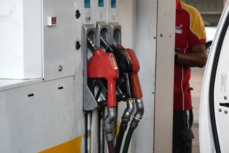 Foto: Santiago Tagua/MDZ