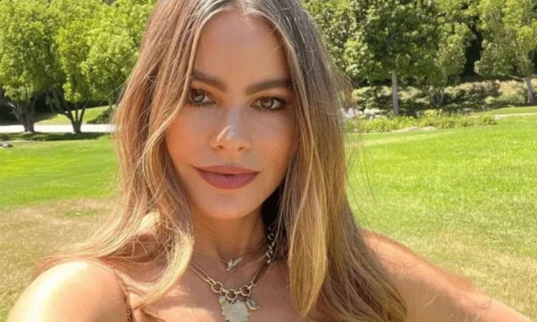 Sofía Vergara mantiene una figura tonificada con simples rutinas. Foto: Instagram/ Sofía Vergara