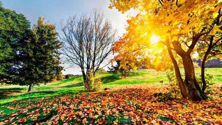 Test de personalidad