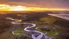 Bosques de lenga y ñire en Tolhuin, Tierra del Fuego. La reforma sobre tierras esconde un proceso de extranjerización y pone en peligro la soberanía.&nbsp;