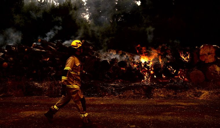 Casi 300.000 hectáreas han sido consumidas. Foto: Efe.