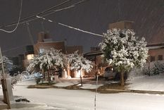 Foto: Twitter (@IgnacioRespuela)