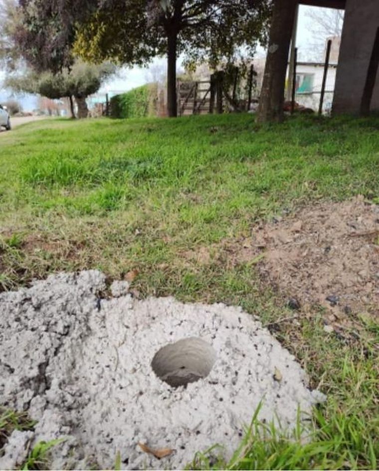 El lugar donde fue encontrada la bolsa con el cuerpo Foto: El Dolorense