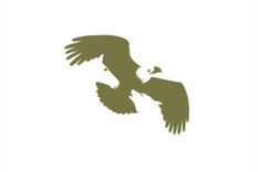 Test de personalidad Foto: Pinterest