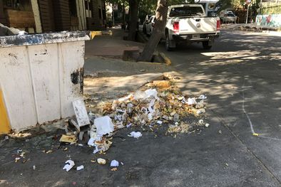 MDZol | Foto: Lector de MDZ