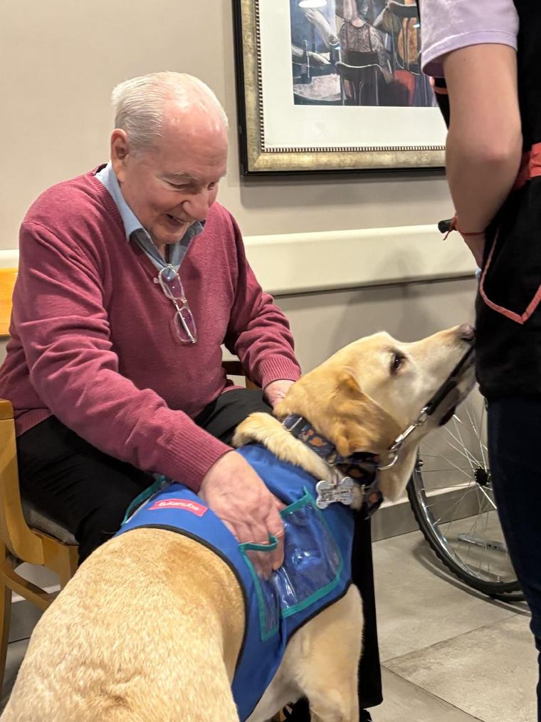 Caninoterapia en tratamientos gerontológicos.
