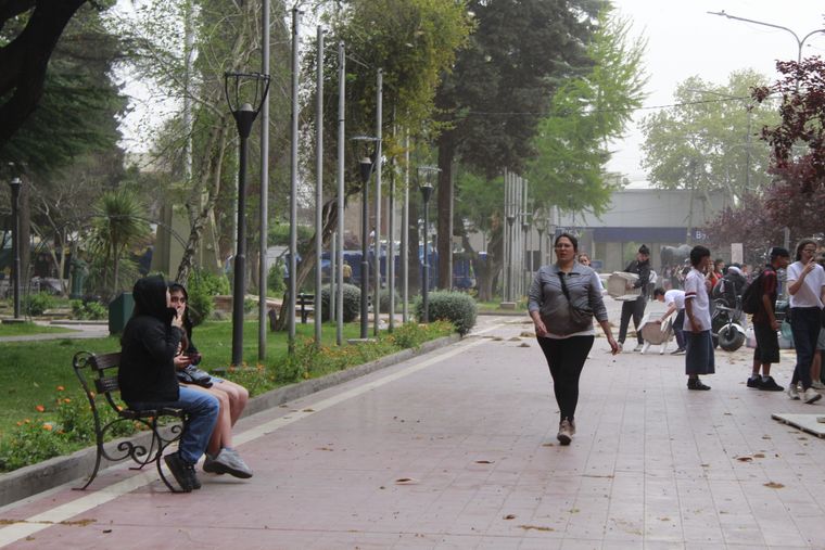 El viento este viernes causó serios incidentes en la provincia.&nbsp;