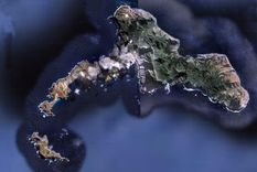 el naufrago mas famoso abandono hoy su isla