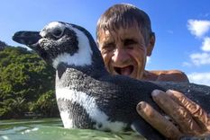 mi amigo el pingüino: la increible historia de una amistad que conmovio al mundo y fue llevada al cine con el actor jean reno