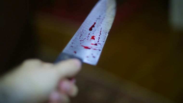 El hombre asesinó a su esposa, se escapó y luego quiso suicidarse