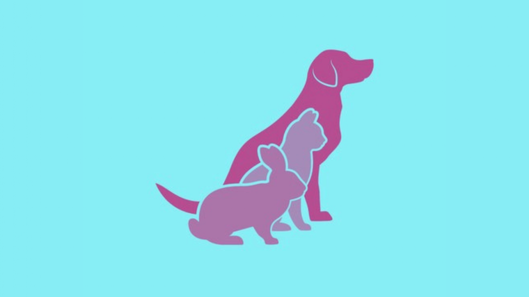 Test de personalidad