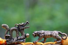 El horóscopo chino tiene diferentes predicciones para cada signo Foto: Shutterstock