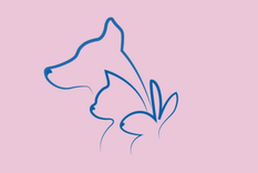 Test de personalidad Test de personalidad