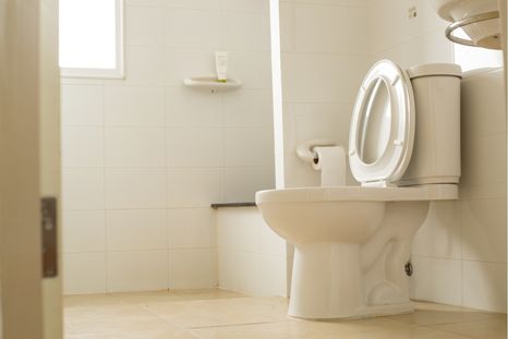 Inodoro. Foto: Shutterstock Inodoro. Foto: Shutterstock