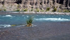 el agua no es un tema ambiental, es una decision de desarrollo el agua no es un tema ambiental, es una decision de desarrollo