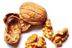 nueces, el cerebro que alarga la vida