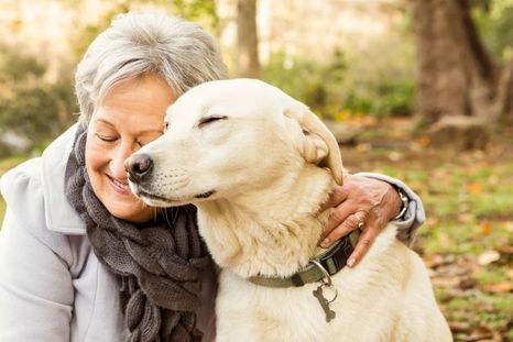 Esto fue lo que dijo la inteligencia artificial. Foto: Archivo