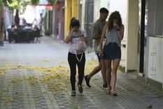 Se espera un viernes con fuertes vientos y nevadas Foto: Maximiliano Ríos / MDZ Se espera un viernes con fuertes vientos y nevadas Foto: Maximiliano Ríos / MDZ