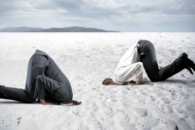 MDZol | Foto: ActionCoach.