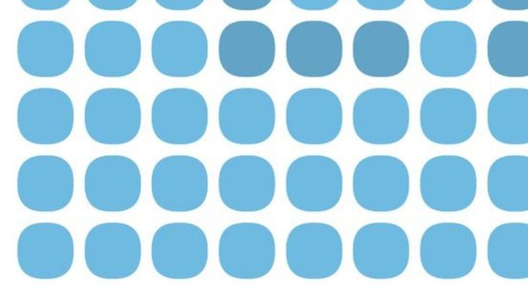 Este acertijo visual además de entretener, agudiza el poder de observación Foto: Archivo MDZ