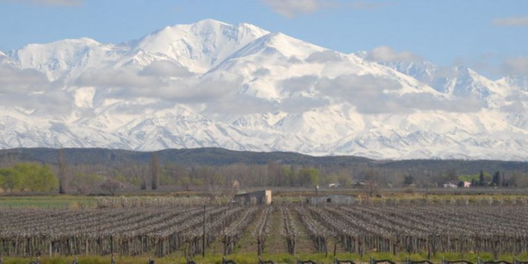Paisaje del valle de Uco.