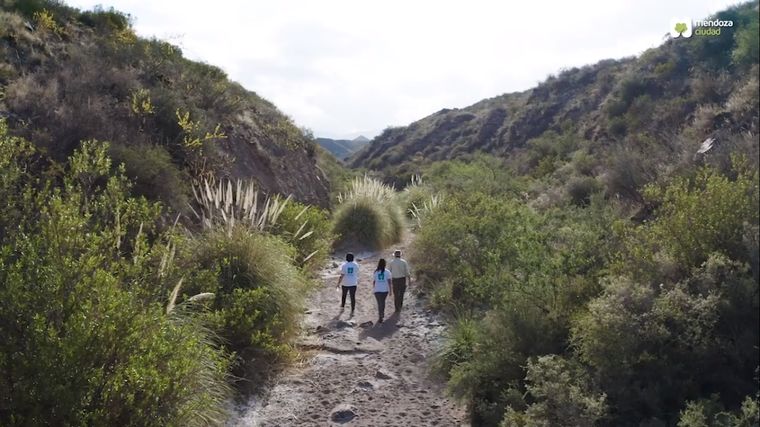 En los diversos departamentos habrá actividades por senderos para descubrir la flora y fauna mendocina Foto: Foto ilustrativa