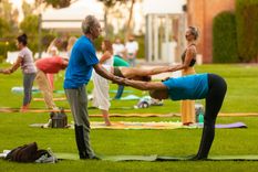 yoga por los caminos del vino: una combinacion entre disfrute, relax y bienestar