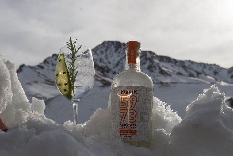 El gin mendocino súper premiado.