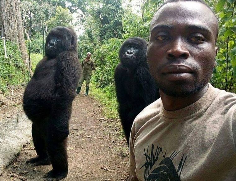 Foto: RANGER MATHIEU SHAMAVU