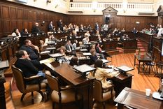 Los sueldos de los legisladores mendocinos están por debajo de la media del país.&nbsp;