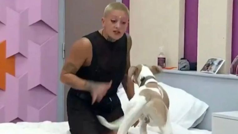 Furia y Arturo, compinches en Gran Hermano Foto: Captura de video Telefe