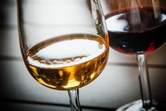 La variedad criolla ahora se puede certificar y por lo tanto, entraría en la lista de vinos que pueden exportarse. Foto: DPA